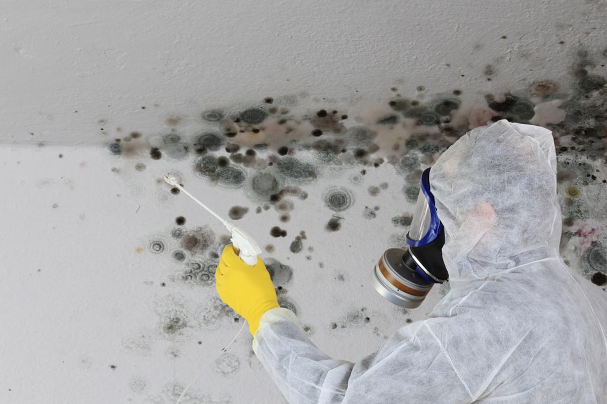 Mold is a threat to your family’s health.