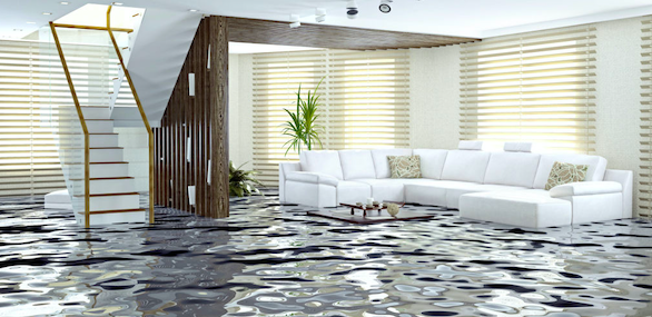 Advantages of Hiring a Professional Contractor for Water Damage Restoration Services