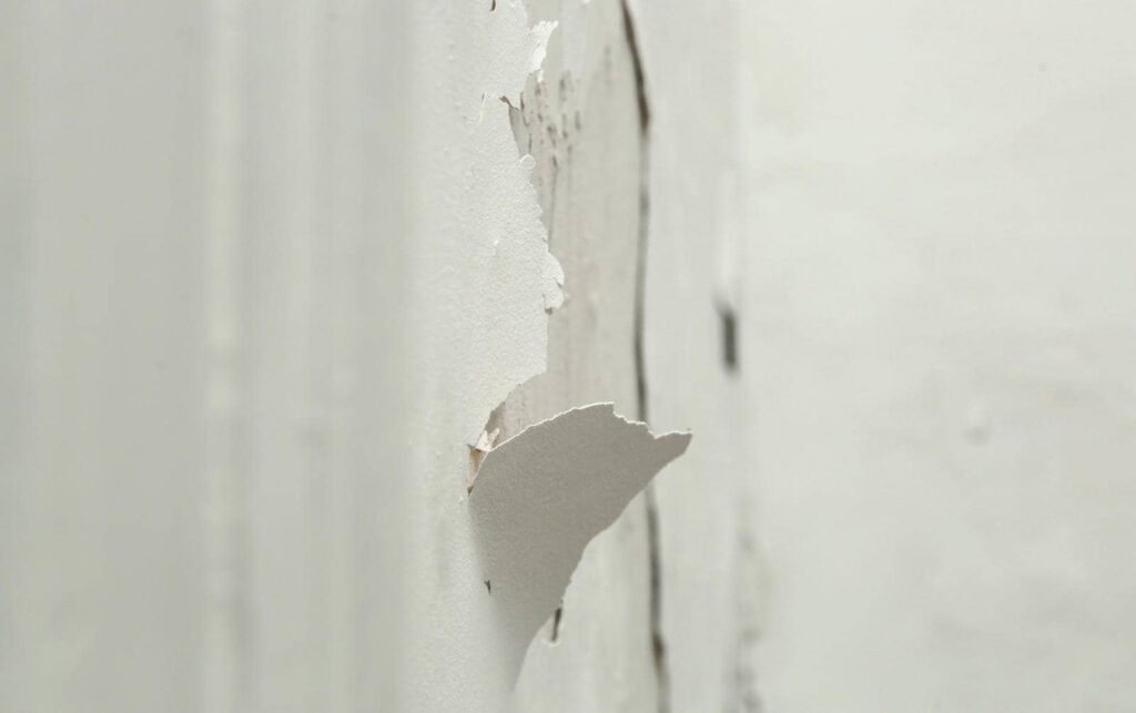 Steps for Successful Remediation After Water Damage