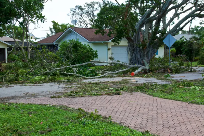 Encinitas, CA Storm Damage