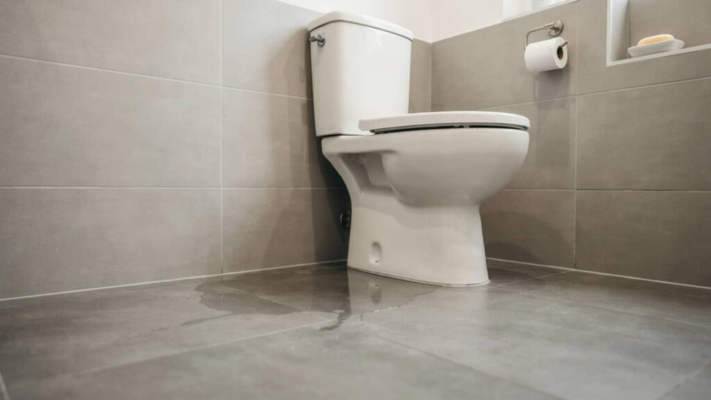 How to Remove Biohazard Spills Safely