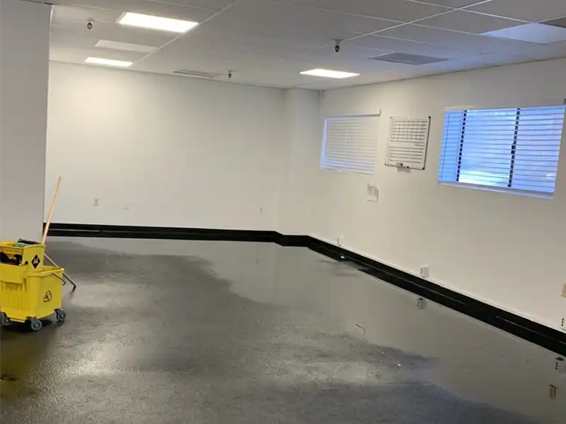 trusted restoration experts