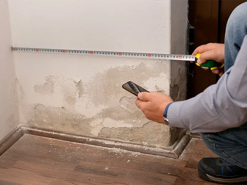 mold remediation