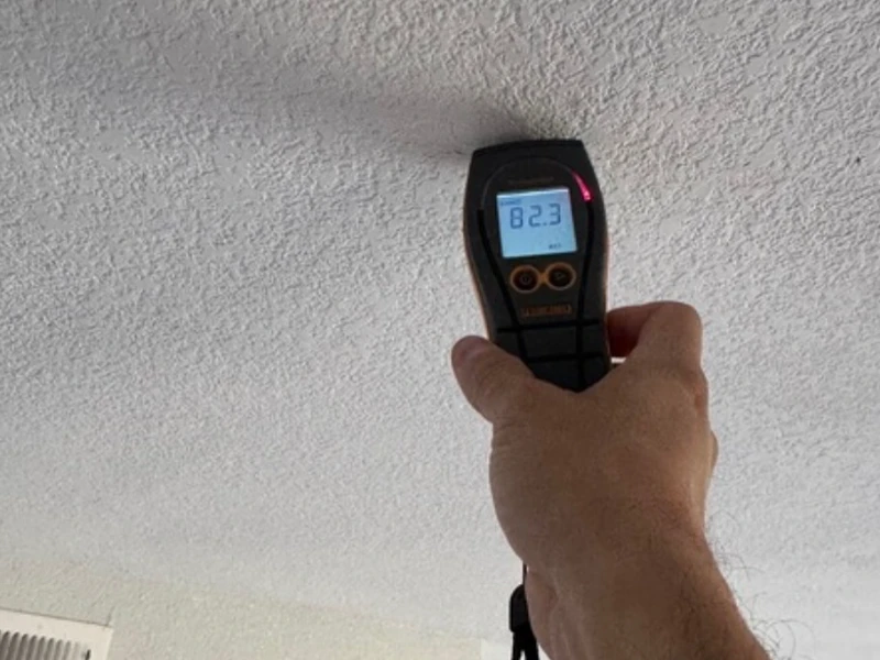 mold remediation