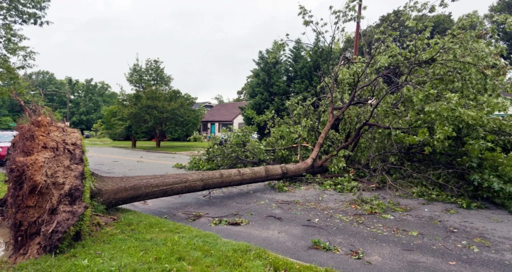 storm damage restoration