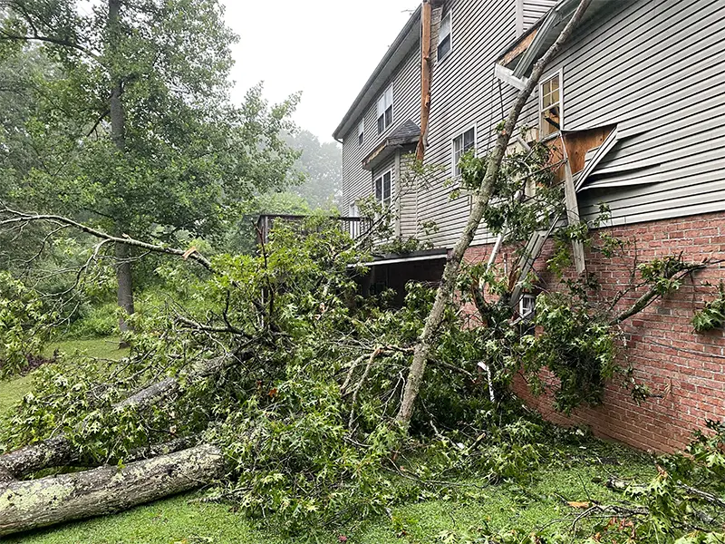 storm damage restoration